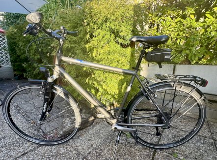 Tourenvelo CANYON GLOBE