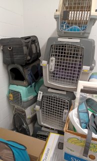 Katzenboxen, IATA Hundeboxen, Mäntelchen und vieles mehr - Gratisinserat.ch