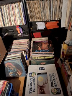 Ankauf von Schallplatten CH weit - Gratisinserat.ch