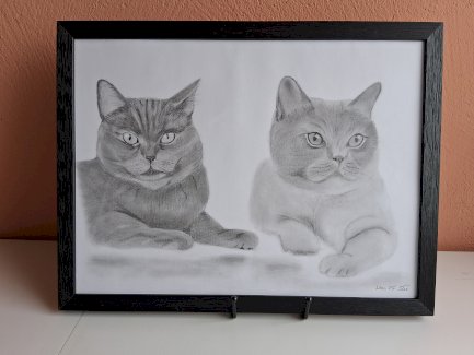 Bilder Kunst Bleistiftzeichnung - Gratisinserat.ch