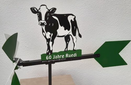 Windrad für Garten, aus Aluminium, kugelgelagert - Gratisinserat.ch