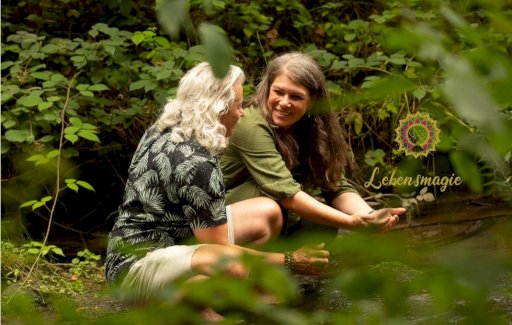 Online Ausbildung (Zert.) - Gratisinserat.ch