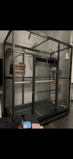 Voliere - Gratisinserat.ch