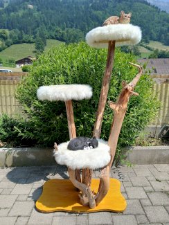 Katzenbaum aus schwemmholz neu