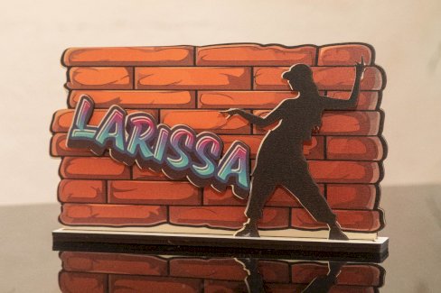 PERSONALISIERBARE SCHILD MIT LED LICHTER - Gratisinserat.ch