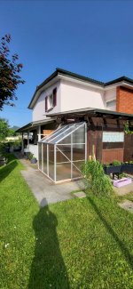 Gewächshaus  - Gratisinserat.ch
