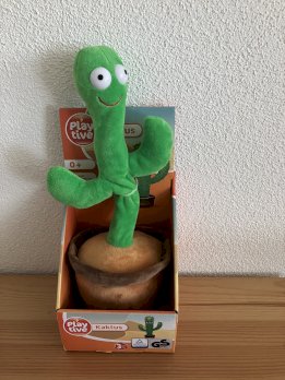 Lustiger Kaktus