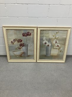 2 Orchideen  Bilder