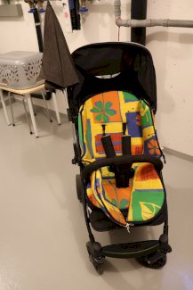 Hauck Rapid-4 Kinderwagen
