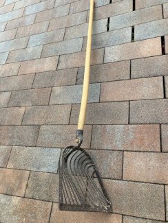 Kartoffelschaufel, Kartoffelgabel, antik - Gratisinserat.ch