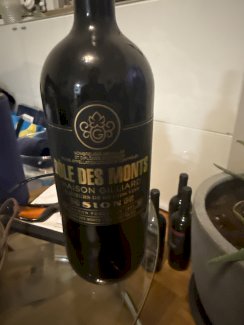 MAGNUM Flasche - Gratisinserat.ch