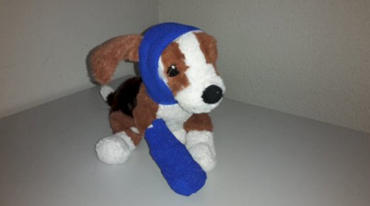 Erste Hilfe Kurs für Hundehalter
