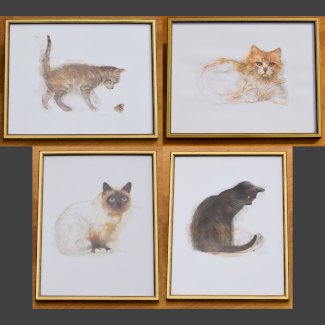 8 Aquarelldrucke - Künstler Mads Stage - Gratisinserat.ch