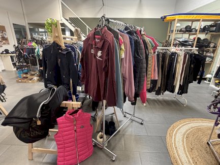 Reiterbörse Secondhand für Pferd und Reiter - Gratisinserat.ch