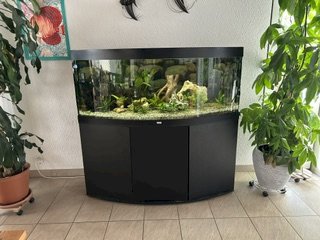 Aquarium Juwel Vision 450 Lt. - Gratisinserat.ch