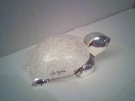 Designschildkröte von Gai Mattiolo