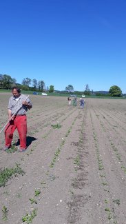 motivierte Feldmitarbeiter/innen