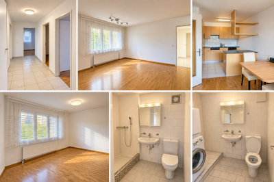 Wohnung zu vermieten 