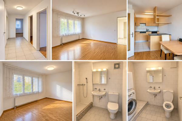 Wohnung zu vermieten 