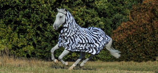 Bucas sweet itch Zebra Rückenlänge 110cm - Gratisinserat.ch
