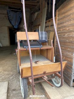 Pony Wagen inkl. allem Zubehör