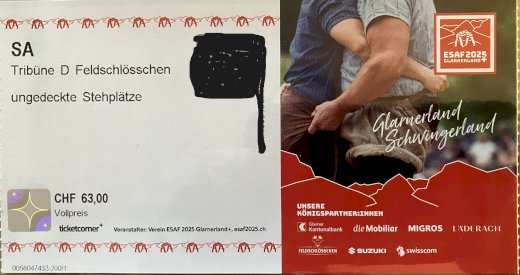 Ticket ESAF 2025 - Gratisinserat.ch