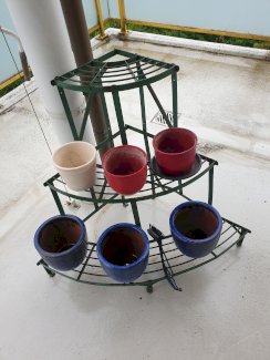 gratis Pflanzengestell - Gratisinserat.ch