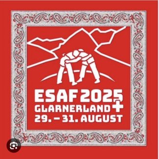 2 Tickets ESAF Sitzplatz ungedeckt für Samstag - Gratisinserat.ch