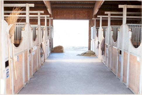 Pferdeboxe / Fohlenweide