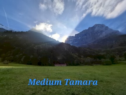 Professionelle Tarotkartenlegungen  - Gratisinserat.ch