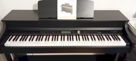 Digital Piano Thomann DP-95 - Gratisinserat.ch