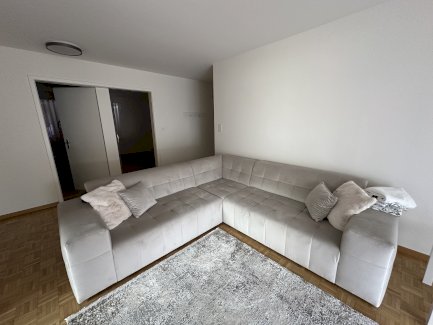 Wohnzimmer Sofa/Couch - Gratisinserat.ch