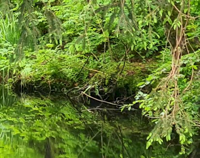 Nachhilfe für Leute, die die Mathematik hassen  - Gratisinserat.ch
