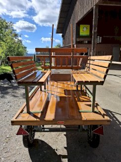 Shetty-/Ponykutsche - Gratisinserat.ch