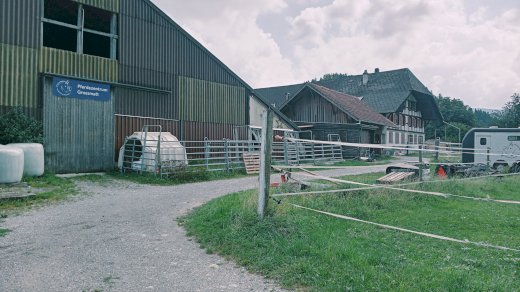 Pferdeboxen mit Reithalle zum mieten  - Gratisinserat.ch