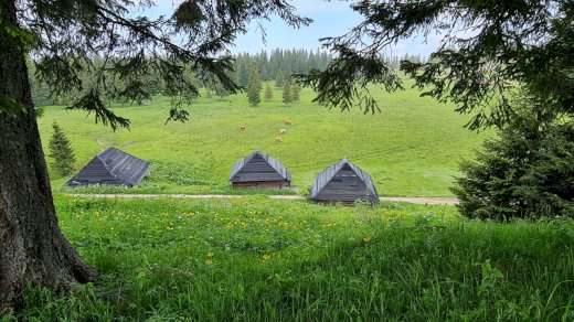 ZELITE LI ZDRAV ZIVOT NA PLANINI VLASIC - IMAM DOBRU ZEMLJU ZA VAS - JEFTINO - Gratisinserat.ch