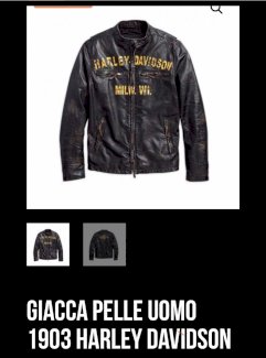 Herren Lederjacke HD GIACCA PELLE UOMO 1903 Harley Davidson Gr. XL