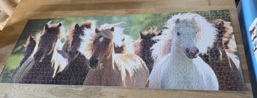 Puzzle Spiel Pferde 1000 stk ist von Ravensburger siehe Foto  - Gratisinserat.ch