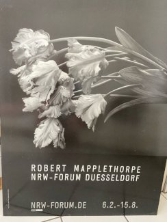 Plakat auf Aluminium aufgezogen Robert Mapplethorbe - Gratisinserat.ch