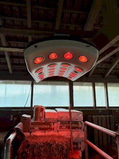 Pferdesolarium - Gratisinserat.ch