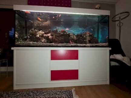 Aquarium 800 Liter, inkl. Möbel, mit Fischen und Zubehör