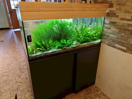 Aquarium komplett 200 Liter - Gratisinserat.ch