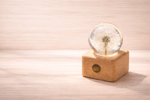 Echte Pusteblume in Glaskugel auf Holzsockel – handgemacht - Gratisinserat.ch