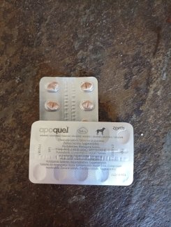 Apoquel 5.4 - Gratisinserat.ch