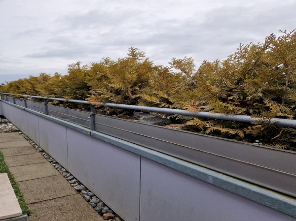 Pflanzentröge