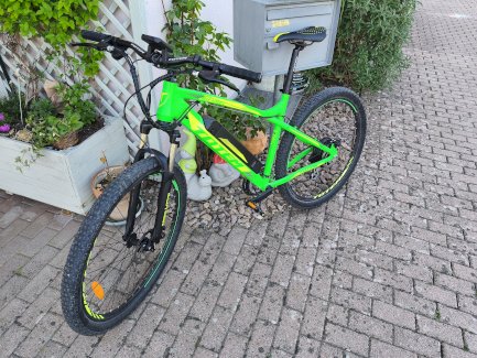 Totem Signal X E Mountainbike Herren 