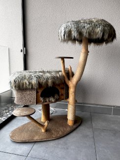 Katzenbaum aus Naturholz - Gratisinserat.ch