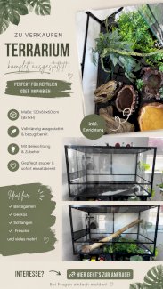 Terrarium 100x60x60cm inki Deko Artikel - Gratisinserat.ch