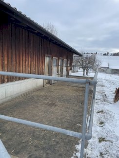 Grosse, helle Auslaufbox in 8626 Ottikon zu mieten  - Gratisinserat.ch