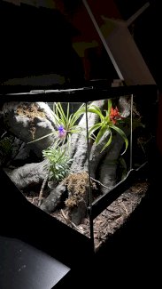 Wunderschönes Terrarium/ Paludarium - Gratisinserat.ch